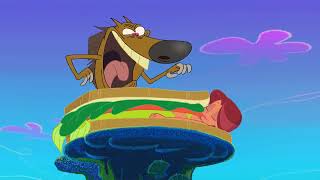 No Solution To Cure Sharko