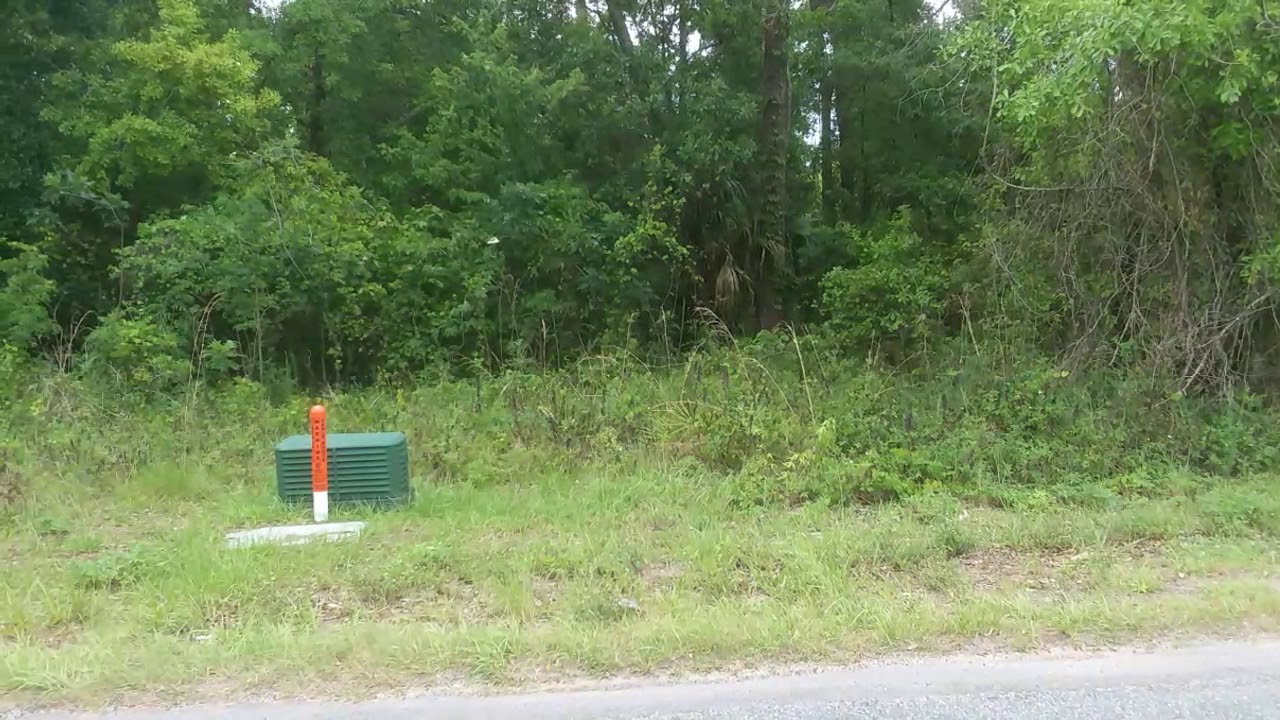 0 N Goodman Rd YouTube