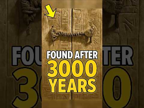 صور نادرة ستذهلك 685