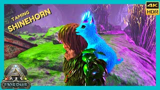 Ark - Fjordur : Taming a Shinehorn