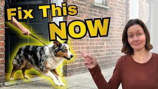 When All Reactivity Training Fails - This Works