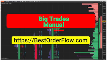 Big Trades Institutional trades Orders BestOrderFlow.com Indicator NinjaTrader