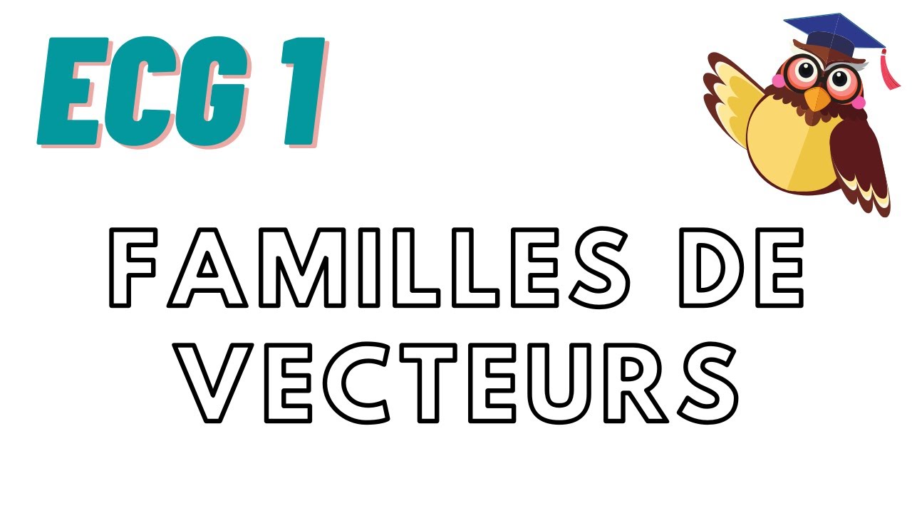 Espaces vectoriels : cours 6 partie 1 : familles de vecteurs