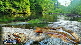 РЫБАЛКА НА ГОРНОЙ РЕЧКЕ I р. АМБА I ЛОВИМ 