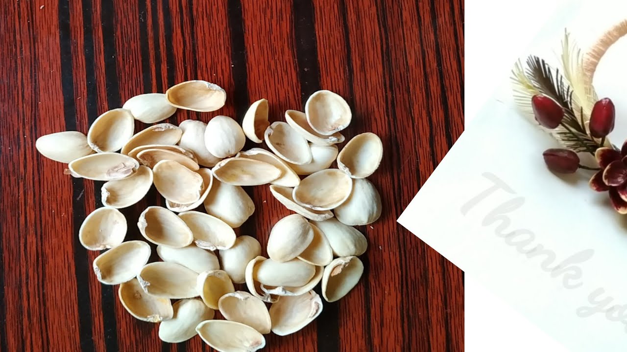 DIY Pistachio shell Room Decor/wall Hanging Ideas/ Eenuz Art's & Craft's YouTube