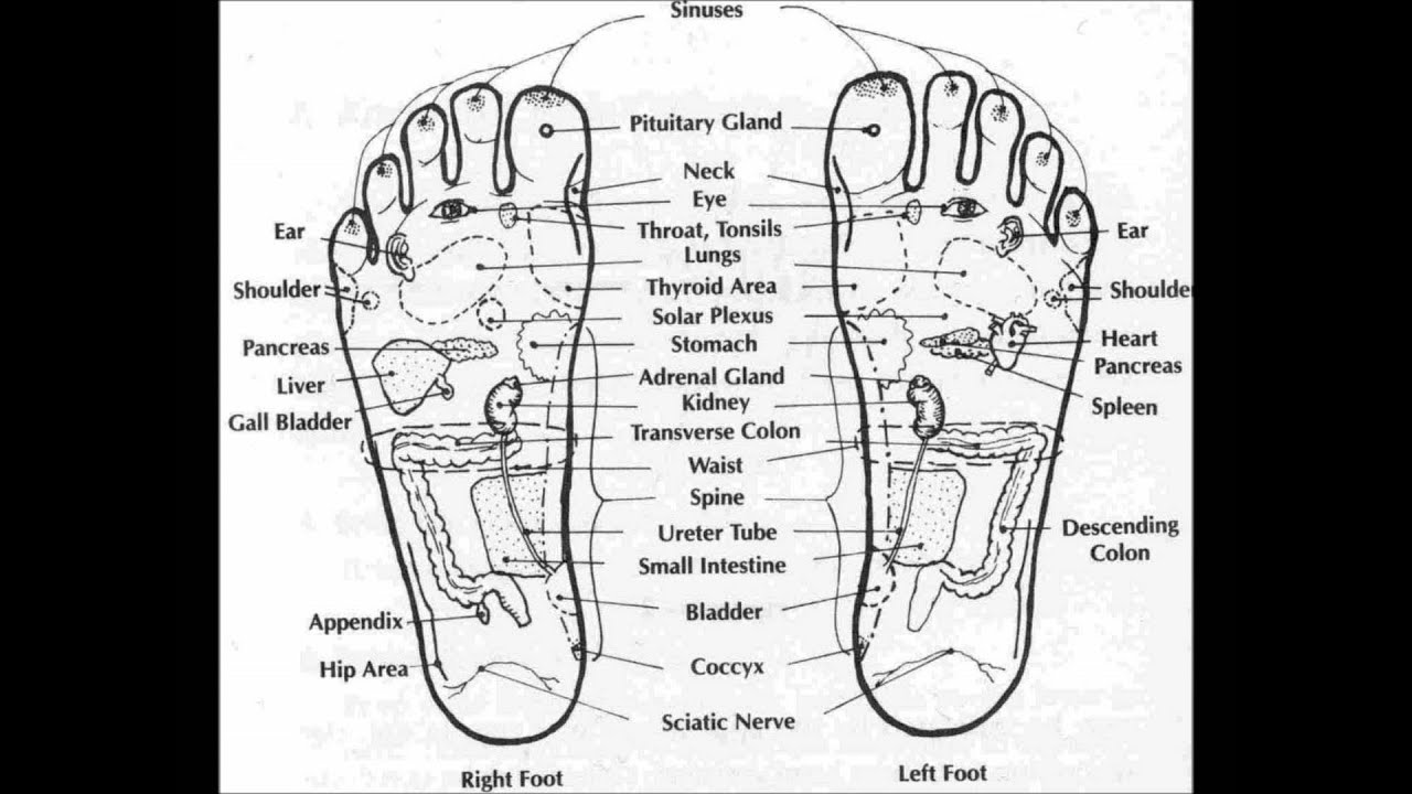 Foot Reflexology Map for Beginners (7) YouTube