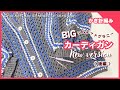 【かぎ針編み】BIGシルエットグラニーカーディガン 袖とボタンホール完成までの全工程《後編》
