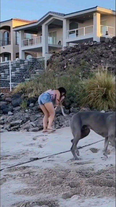 its over #funny #funiestvideo #lucu #fail