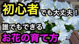 『誰でもできるお花の育て方』もう大丈夫。基本のきほん！