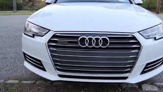 Audi A4 B9 - 2017 , Moving license plate
