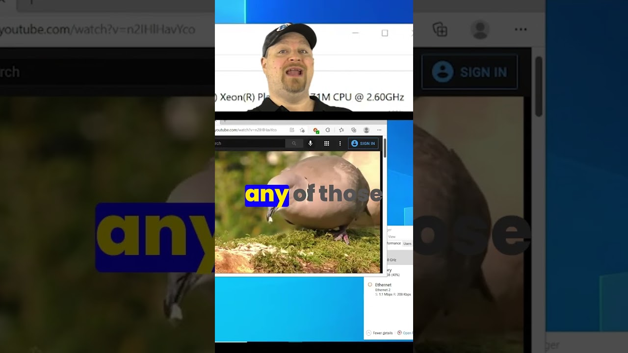 AVD Multipath Secrets You Need to Know!