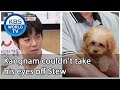 Kangnam couldn't take his eyes off Stew [Dogs are incredible/ENG/2020.08.12]