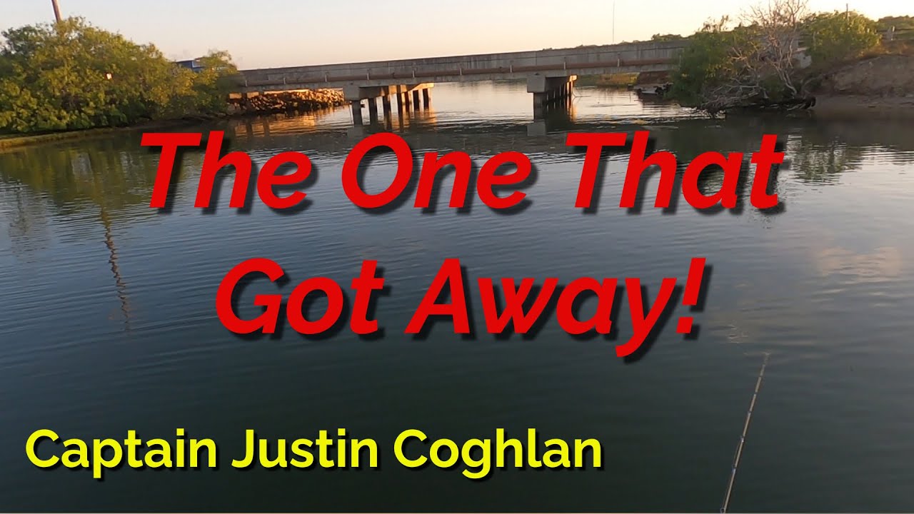 BIG TROUT & DOUBLE HOOKUP! | Epic Inshore Fishing Action | Catching Our Limit!