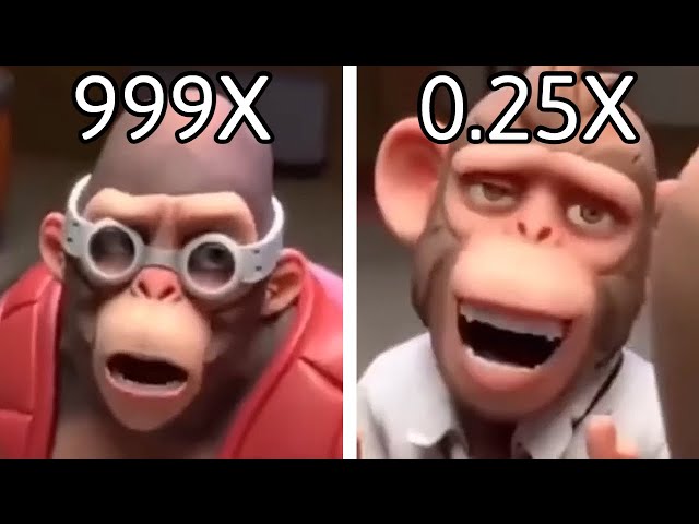 Chinese Monkeys Singing, but it's 0.25x vs 999x speed class=
