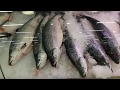 Цены в рыбном магазине Disas fish. Лаппеенранта. Финляндия. 2017