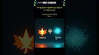 메이플, 플라즈마 블록체인으로 확장! 테더 지원의 의미는?