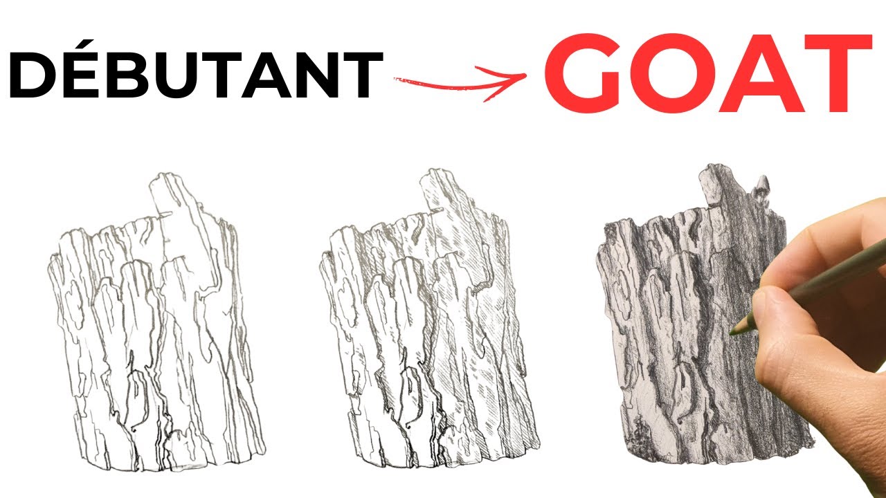 De DÉBUTANT à CONFIRMÉ en 1H : Les 3 Étapes Essentielles (Dessin en Direct)