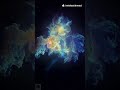 Diedlonely - Enouement - Stellar - Song