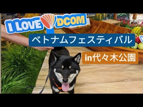 Video 柴犬とベトナムフェスティバル2022【代々木公園】Vietnam festival in Tokyo 2022 - youtube