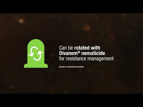 Send Nematodes to Their Final Resting Place with Trefinti Nematicide/Fungicide