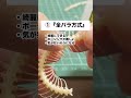 あなたはどっち派?#骨格標本