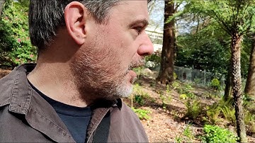 Secret Keep - Dev Diary 18: From Mission Design to World Design