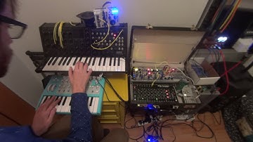 Groove with Microbrute, MS20 Mini, Tanzbar, Eurorack