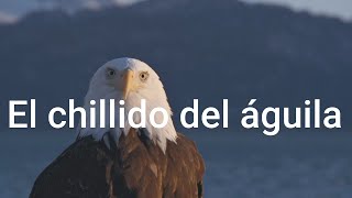 El Chillido Del Águila.