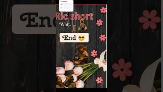Rio hug #rio #riothemonkey #riofilmss2v #riohug