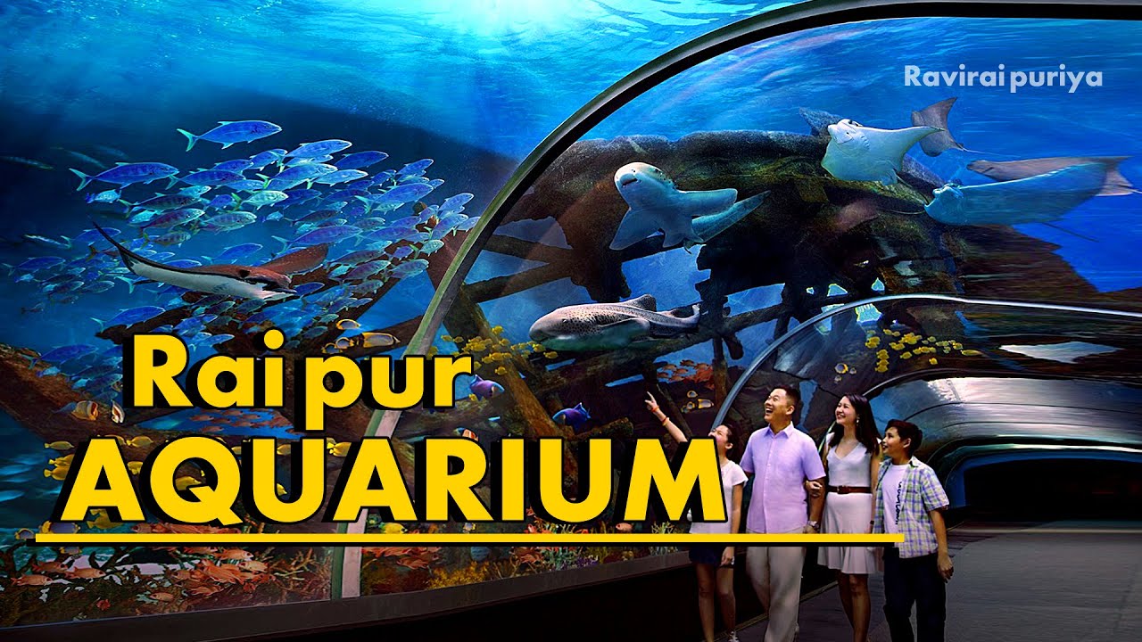 अंडरवाटर फिश टनल एक्वेरियम रायपुर Underwater Fish Tunnel Aquarium