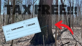 Pay no taxes on your timber sale!