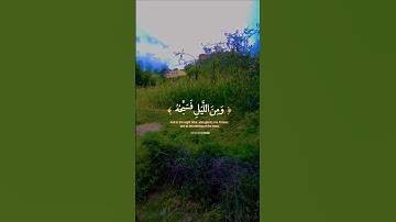 تلاوة خاشعة قرأن كريم تخشع له القلوب #قران_كريم #قرآن #elmulquranعلم #المصحف #duet #trend #اكسبلور #