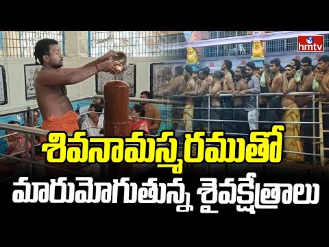 శివనామస్మరముతో మారుమోగుతున్న శైవక్షేత్రాలు | amaravathi amareshwaera swamy temple | hmtv