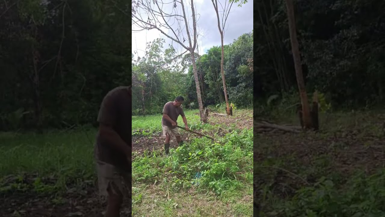 Richard Chang is live