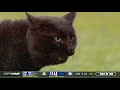 NFL Animals Running On The Field || HD (Funny)