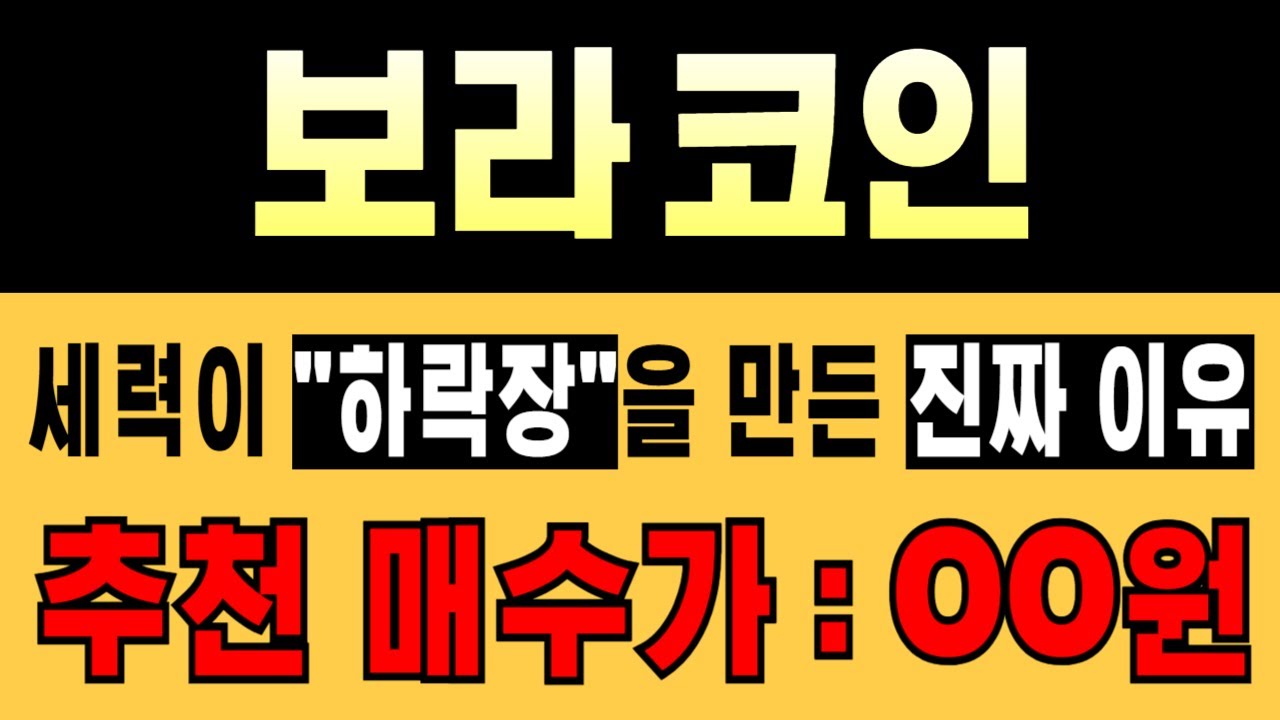 🚨보라 코인🔥세력이 