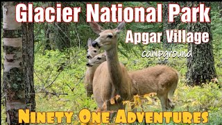 Glacier National Park | Apgar | Every Kid Outdoors Pass by Ninety One Adventures 60 views 1 year ago 10 minutes, 11 seconds