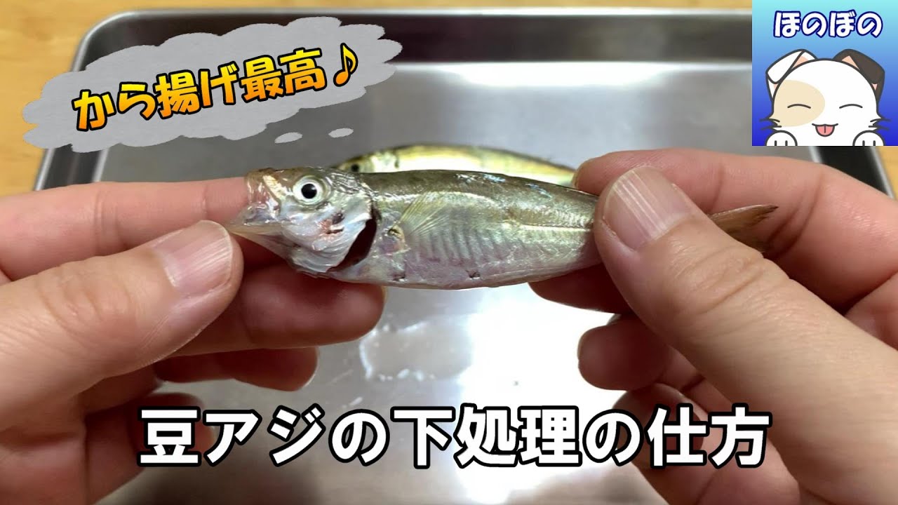 包丁不要 豆アジの下処理をして を作ります Youtube