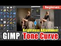 GIMP Tutorial : Master Tone Curves for Perfect Exposure