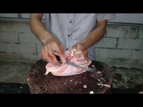 Fillet Dada Ayam Terdekat