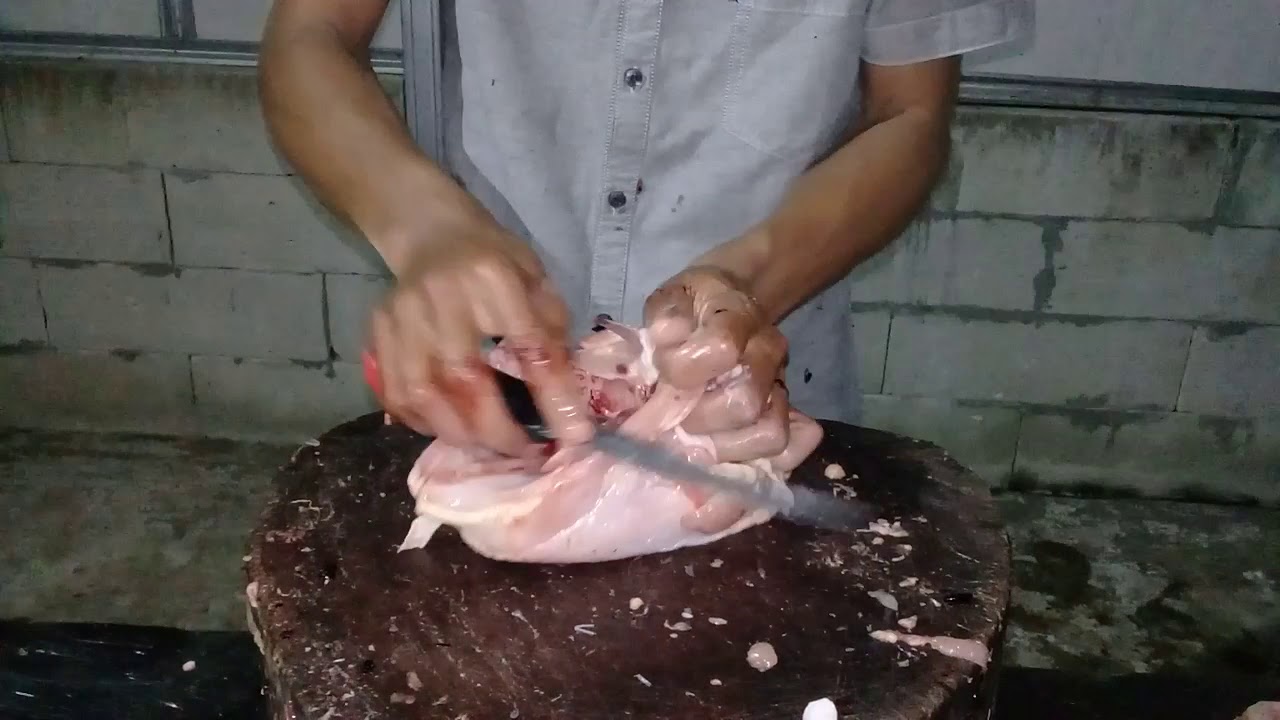 skil filet ayam cepaat