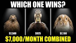 Quail vs Ducks vs Rabbits — The $7,000/Month Stack (Full Buildout)