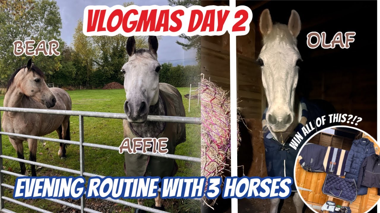 ВЛОГМАС ДЕНЬ 2 - МОЯ ВЕЧЕРНЯЯ РУТИНА