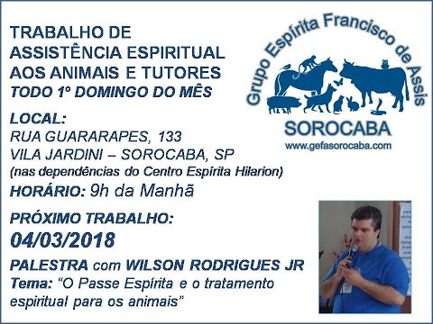 Assista: Palestra presencial - c/ WILSON RODRIGUES JR. (04/03/2018)