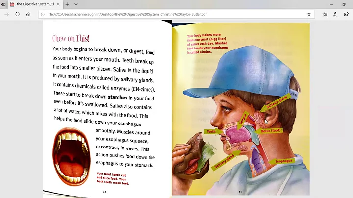 The Digestive System (Taylor-Butler) Part 1