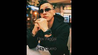 Flex (Nigga) - Hoy Quiero (Audio Official)