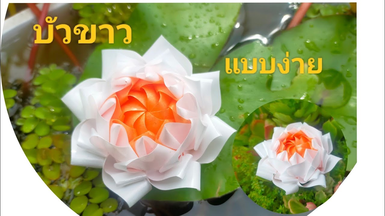 พับเหรียญโปรยทาน ดอกบัวขาว แบบง่าย by ป้าศรี