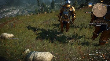 The Witcher 3  First Person Camera