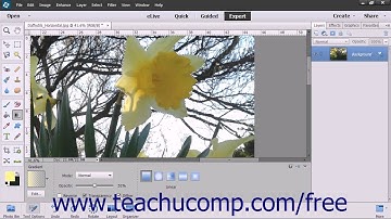 Photoshop Elements 13 Tutorial Using the Gradient Tool Adobe Training