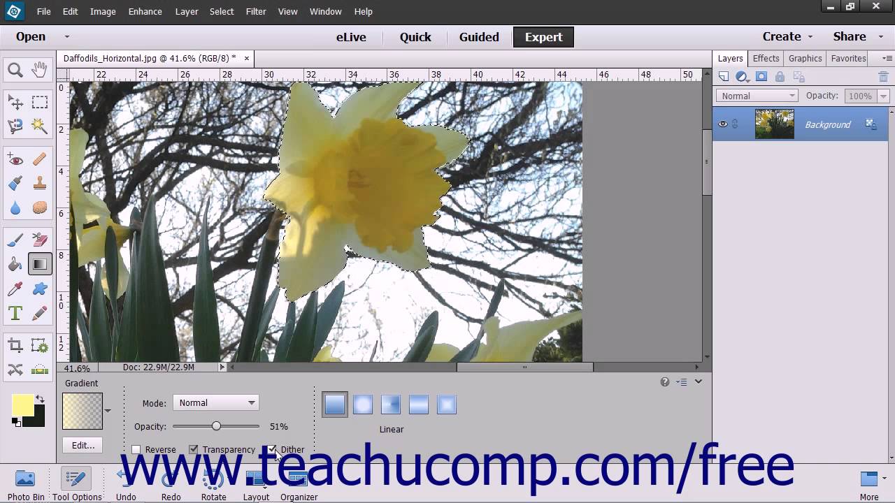 Photoshop Elements 13 Tutorial Using the Gradient Tool Adobe Training ...